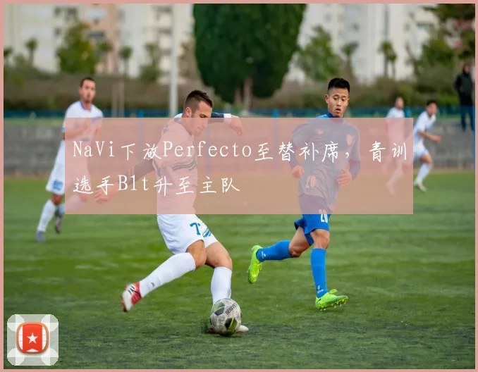 NaVi下放Perfecto至替补席,青训选手B1t升至主队