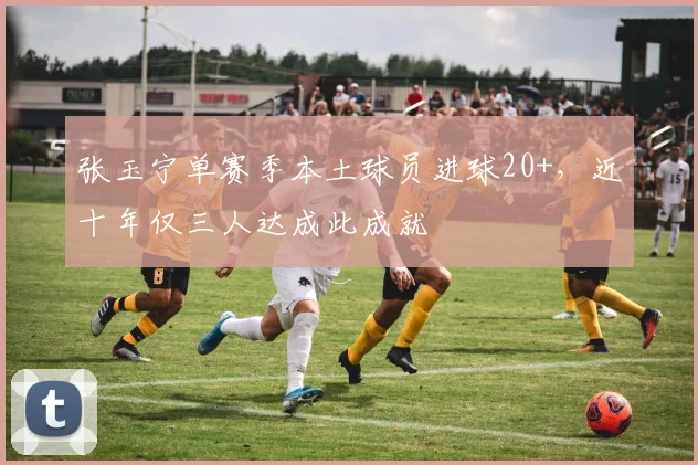 张玉宁单赛季本土球员进球20+,近十年仅三人达成此成就